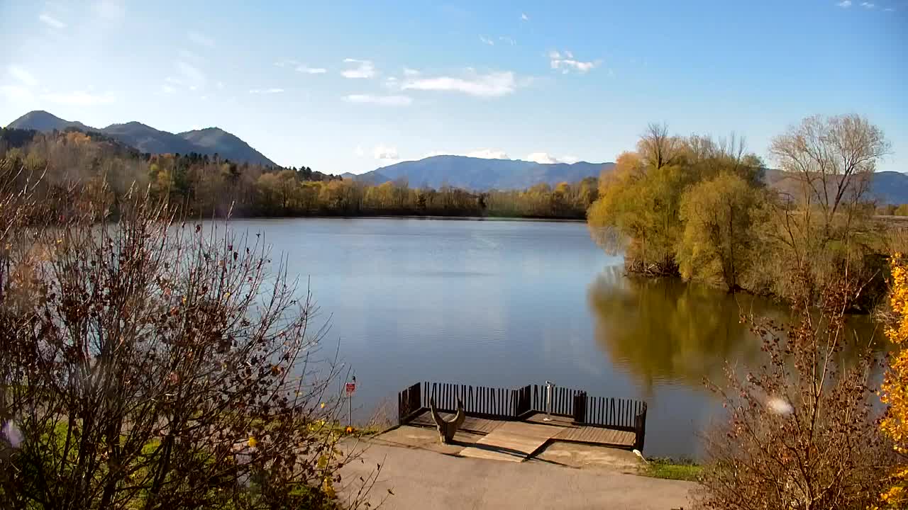 Webcam Ribnik Vrbje – Žalec