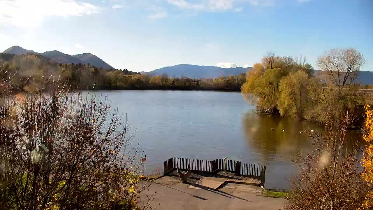 Webcam Ribnik Vrbje – Žalec