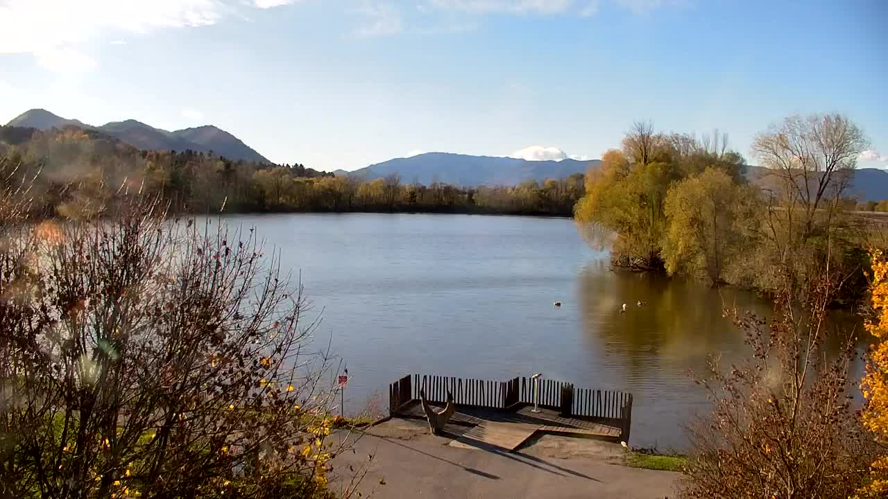 Webcam Ribnik Vrbje – Žalec