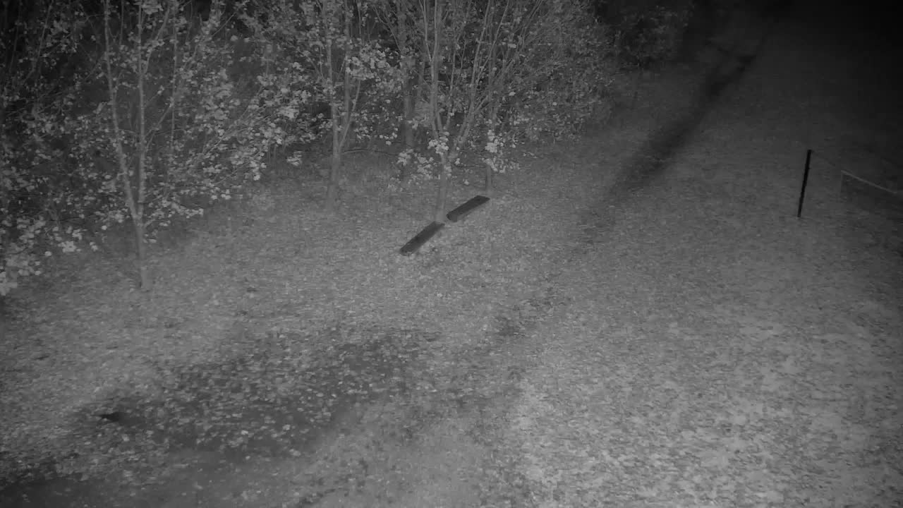 Spletna kamera Ribnik Vrbje – Žalec