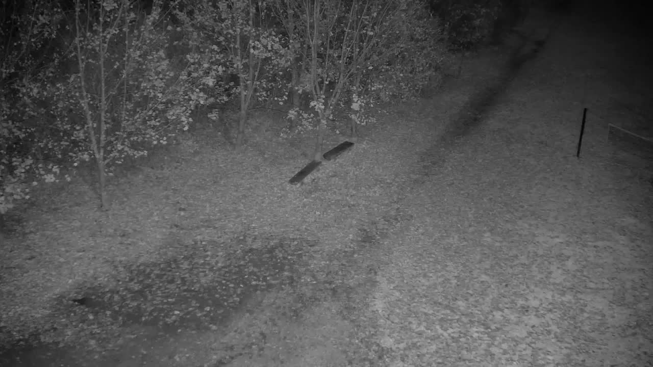 Web kamera Ribnik Vrbje – Žalec