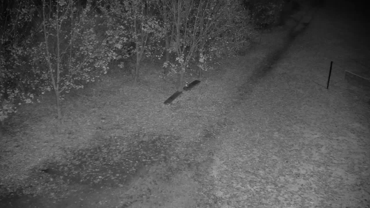 Webcam Ribnik Vrbje – Žalec