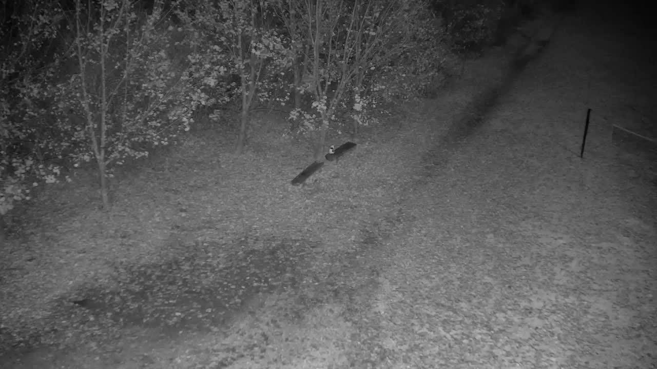 Webcam Ribnik Vrbje – Žalec