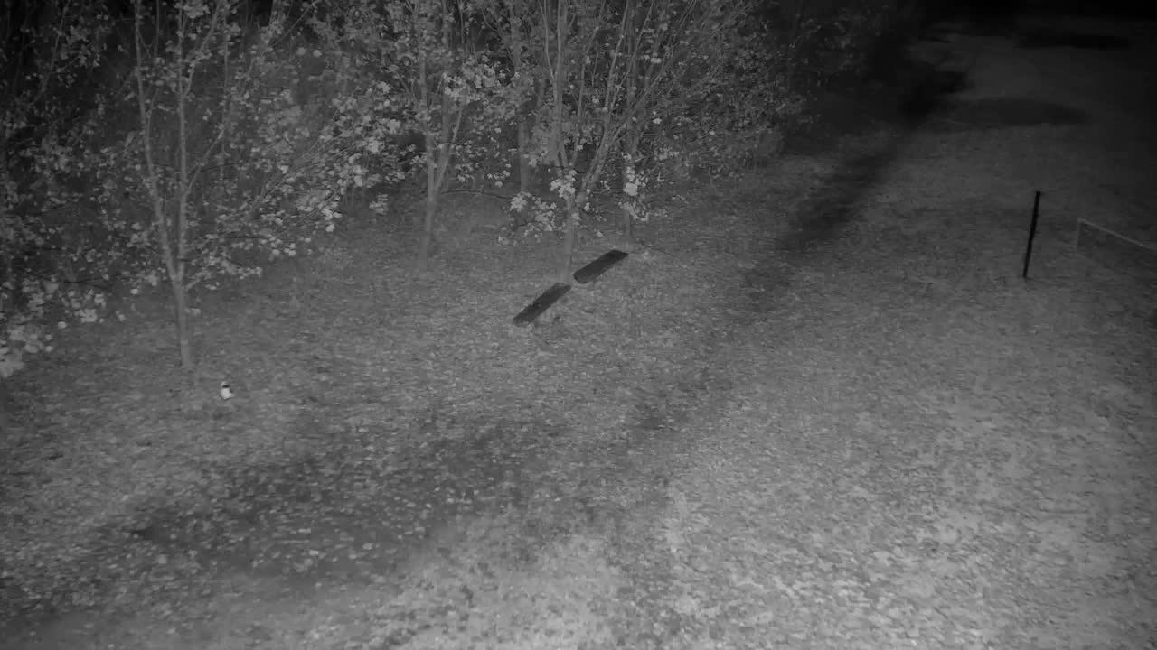 Webcam Ribnik Vrbje – Žalec