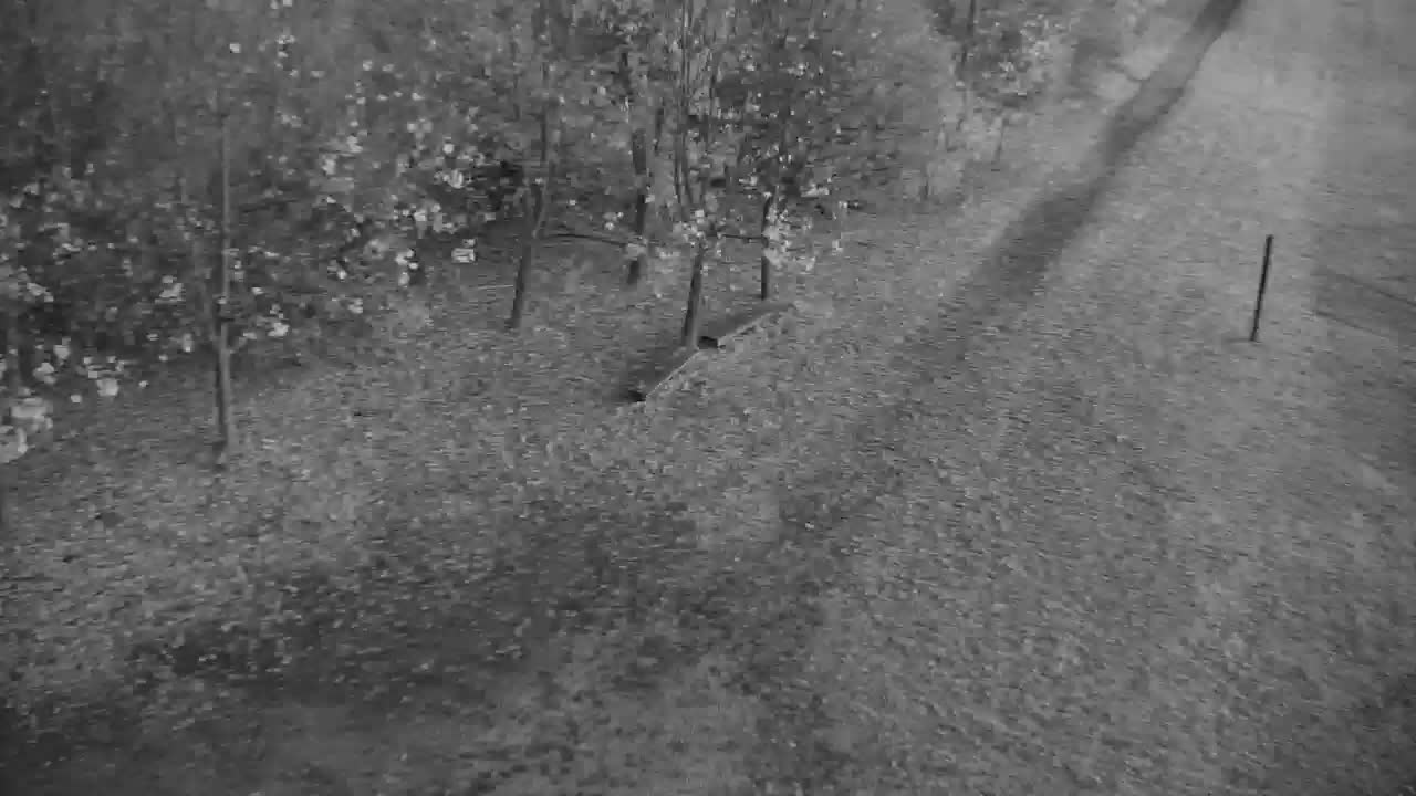 Webcam Ribnik Vrbje – Žalec