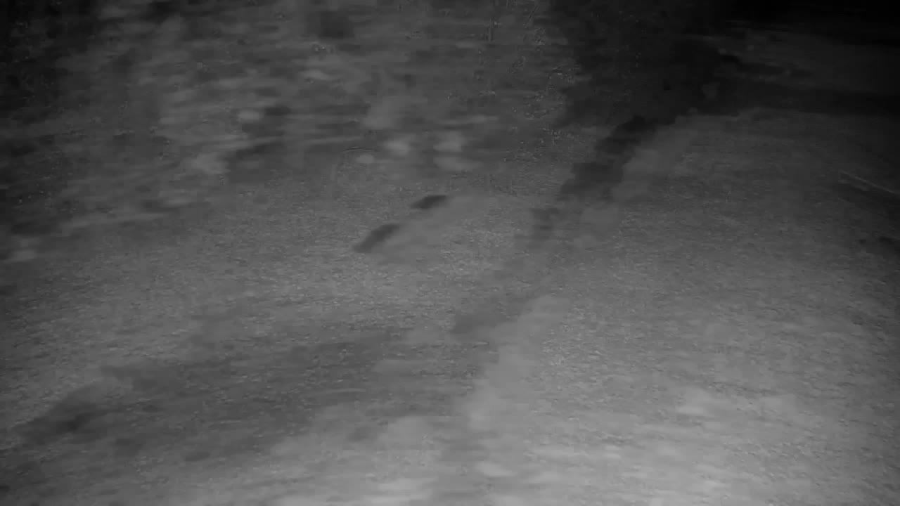 Webcam Ribnik Vrbje – Žalec