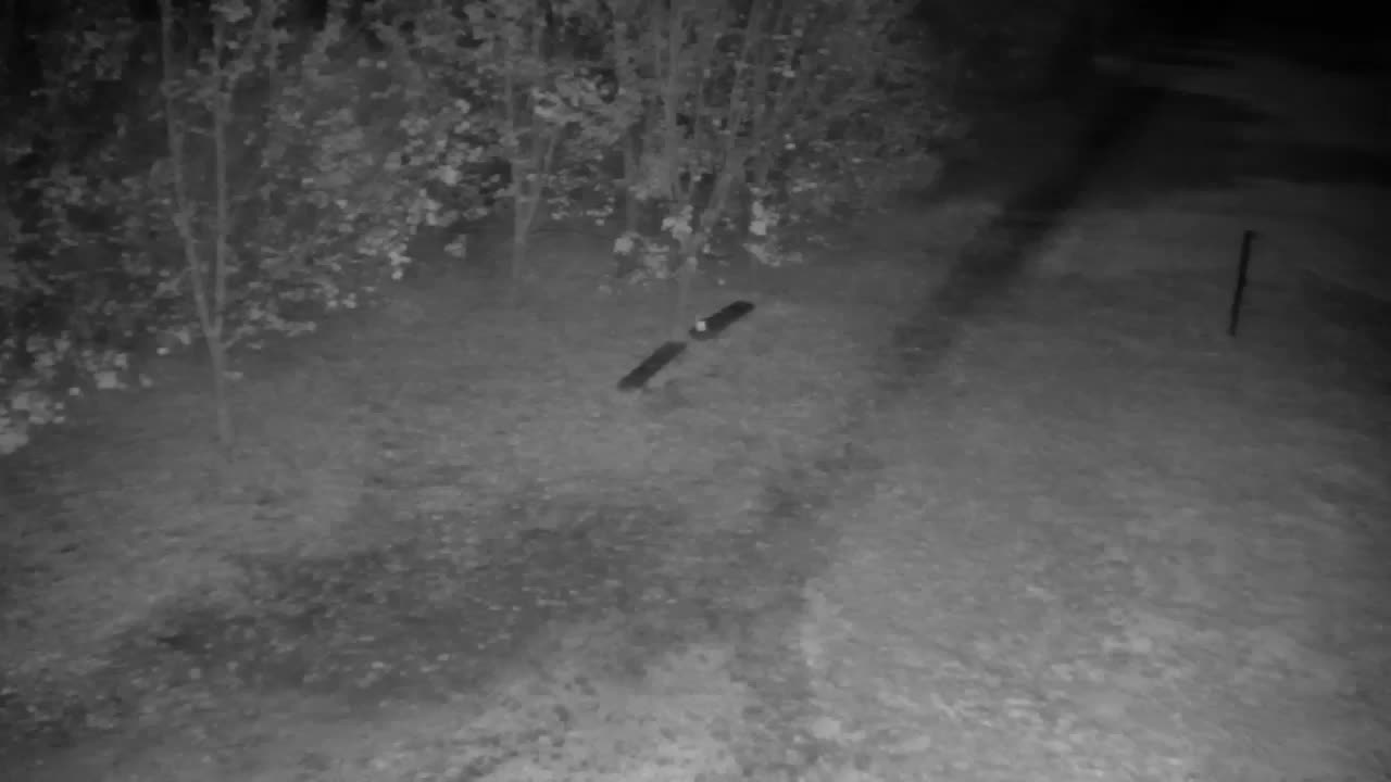 Webcam Ribnik Vrbje – Žalec