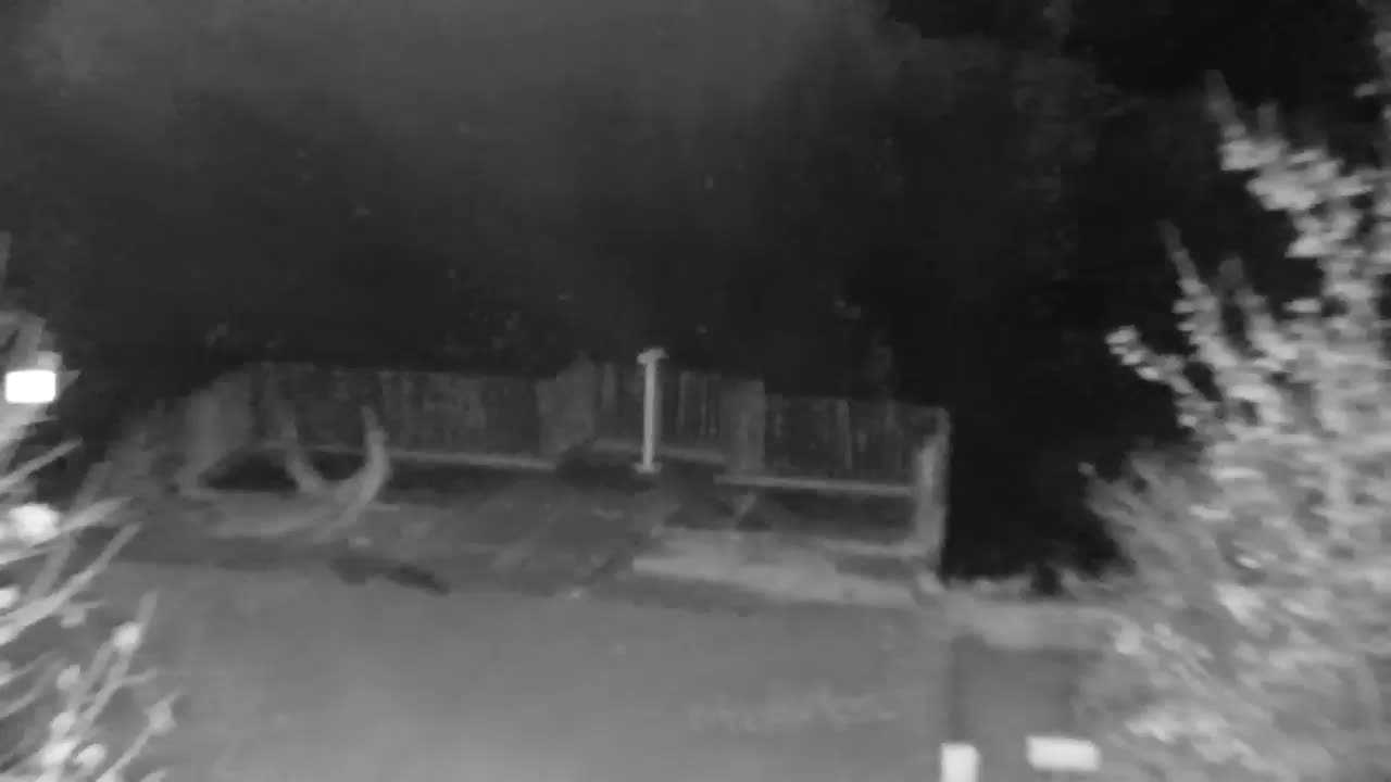 Spletna kamera Ribnik Vrbje – Žalec