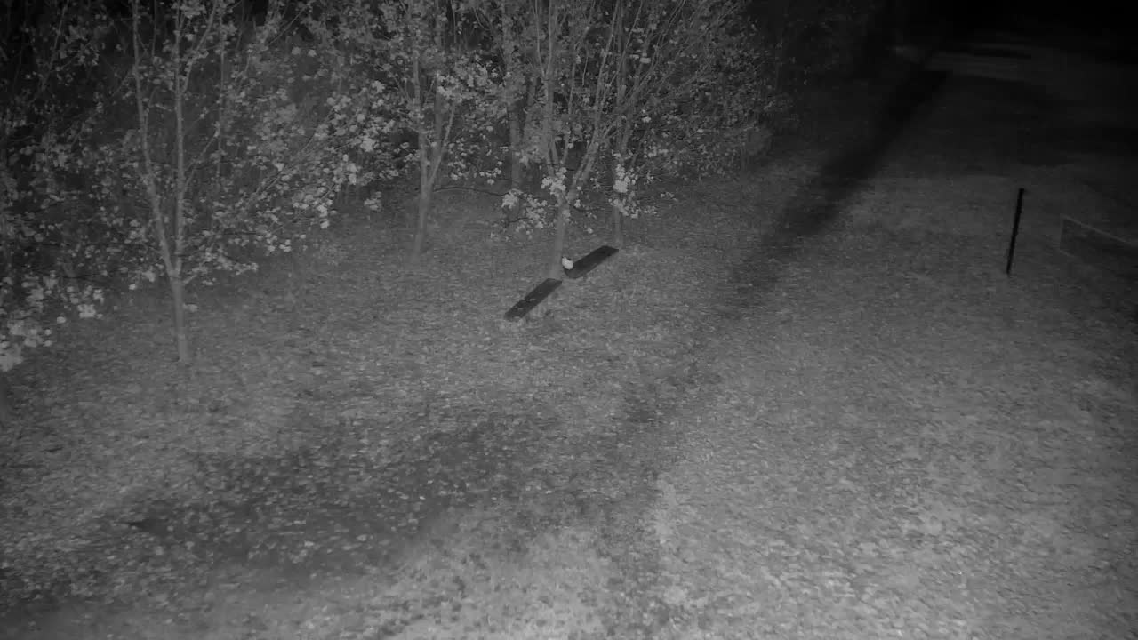 Webcam Ribnik Vrbje – Žalec