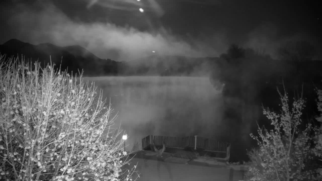 Webcam Ribnik Vrbje – Žalec