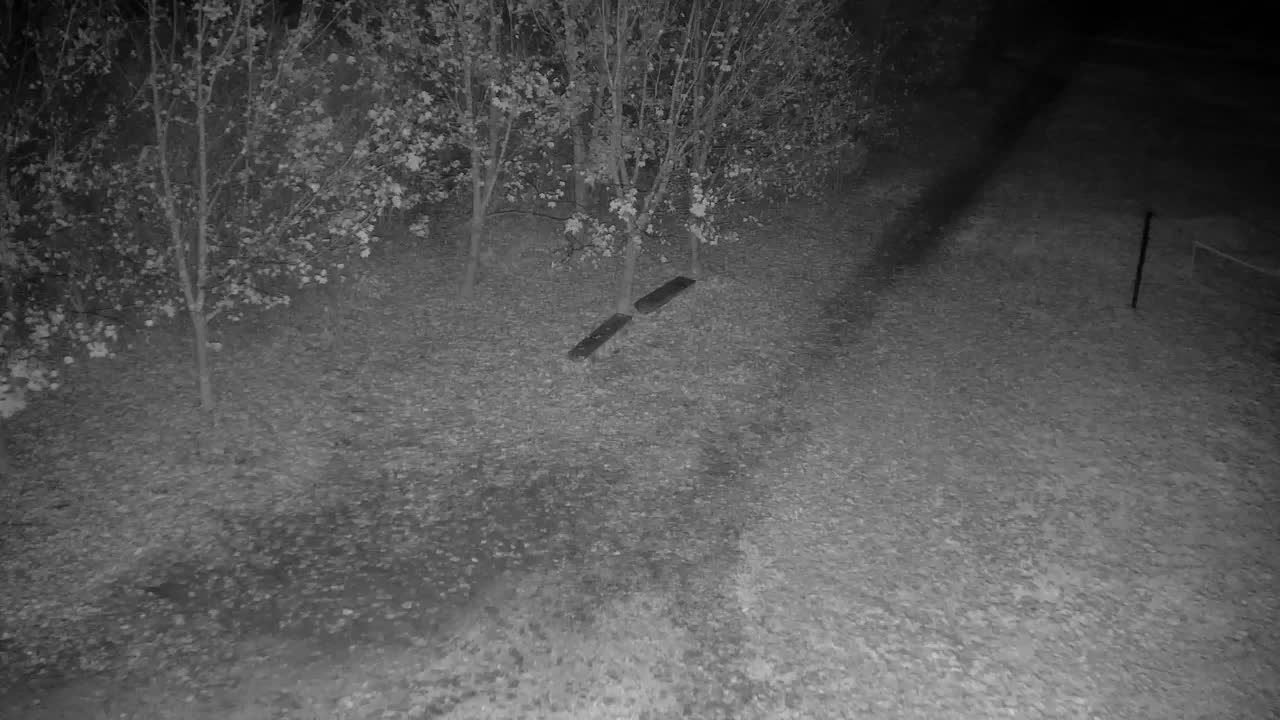 Webcam Ribnik Vrbje – Žalec