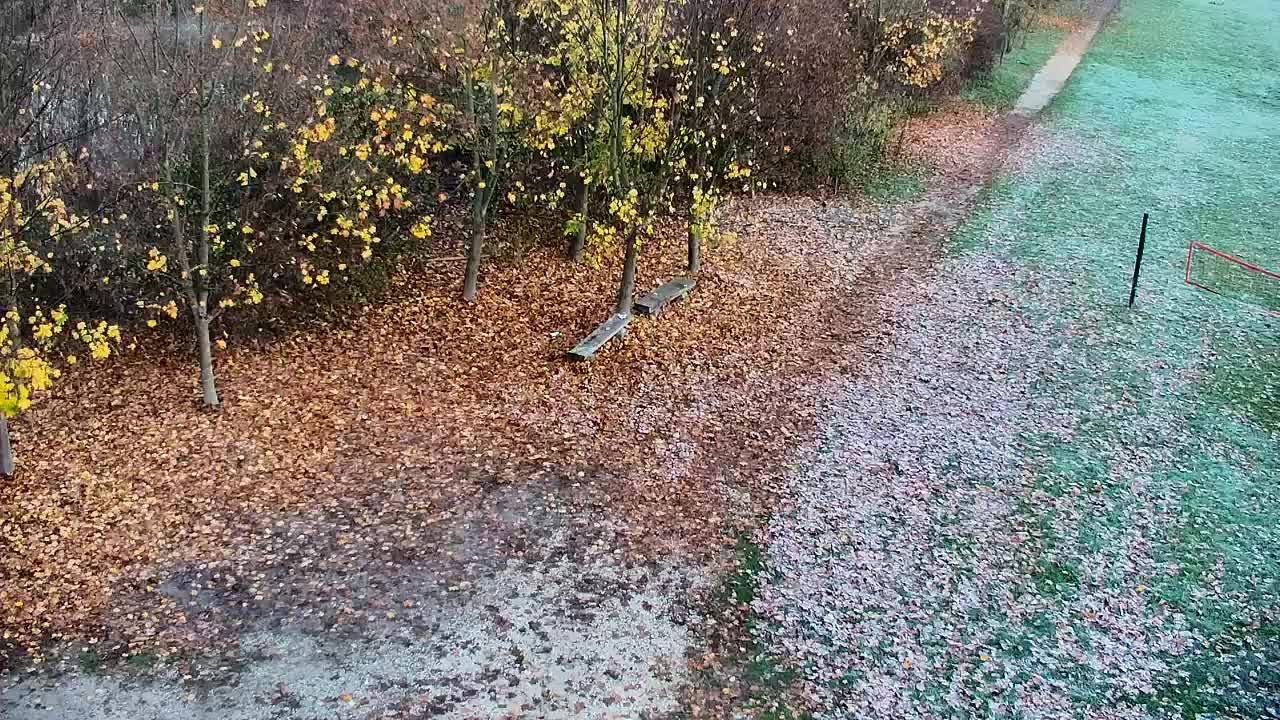 Webcam Ribnik Vrbje – Žalec