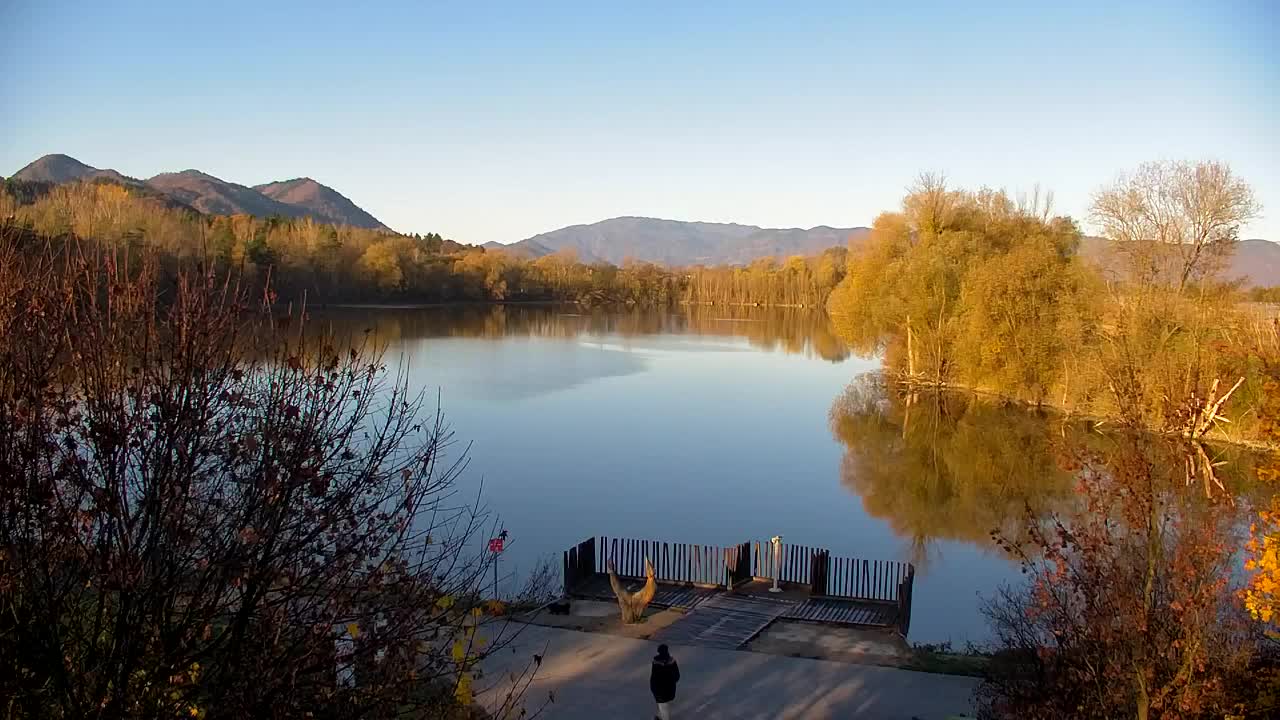 Webcam Ribnik Vrbje – Žalec