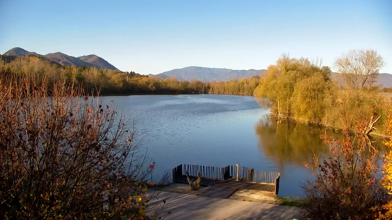 Web kamera Ribnik Vrbje – Žalec