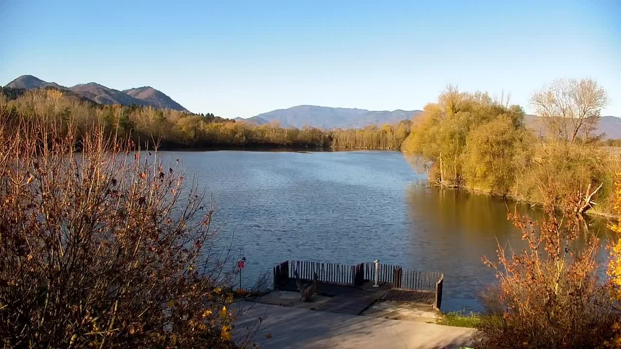 Spletna kamera Ribnik Vrbje – Žalec