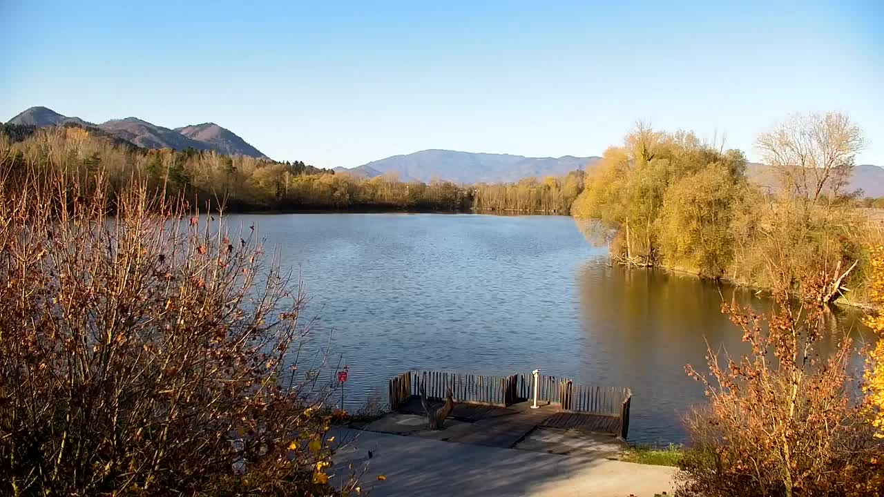 Webcam Ribnik Vrbje – Žalec