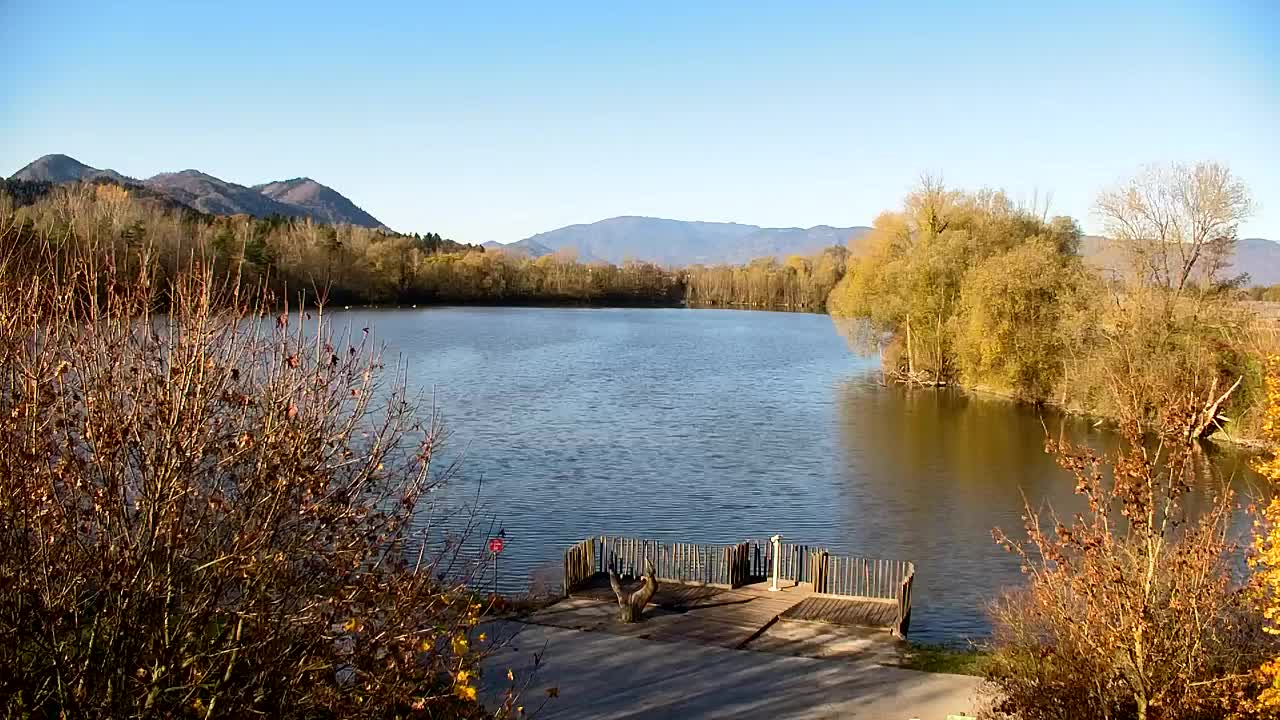 Webcam Ribnik Vrbje – Žalec