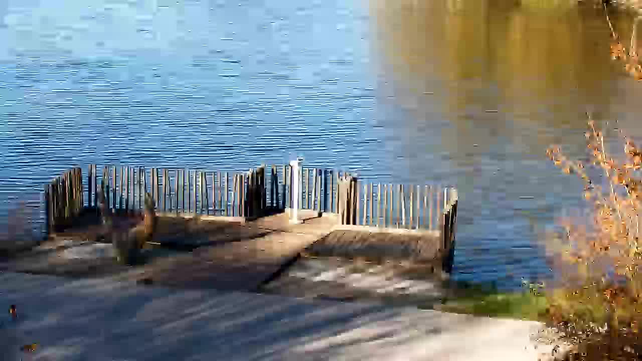 Webcam Ribnik Vrbje – Žalec