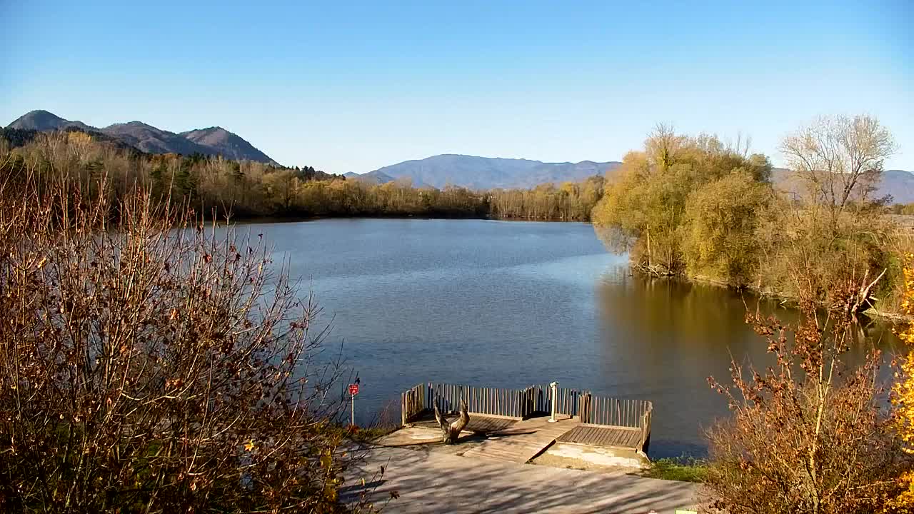 Webcam Ribnik Vrbje – Žalec