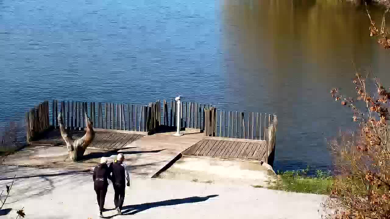 Webcam Ribnik Vrbje – Žalec