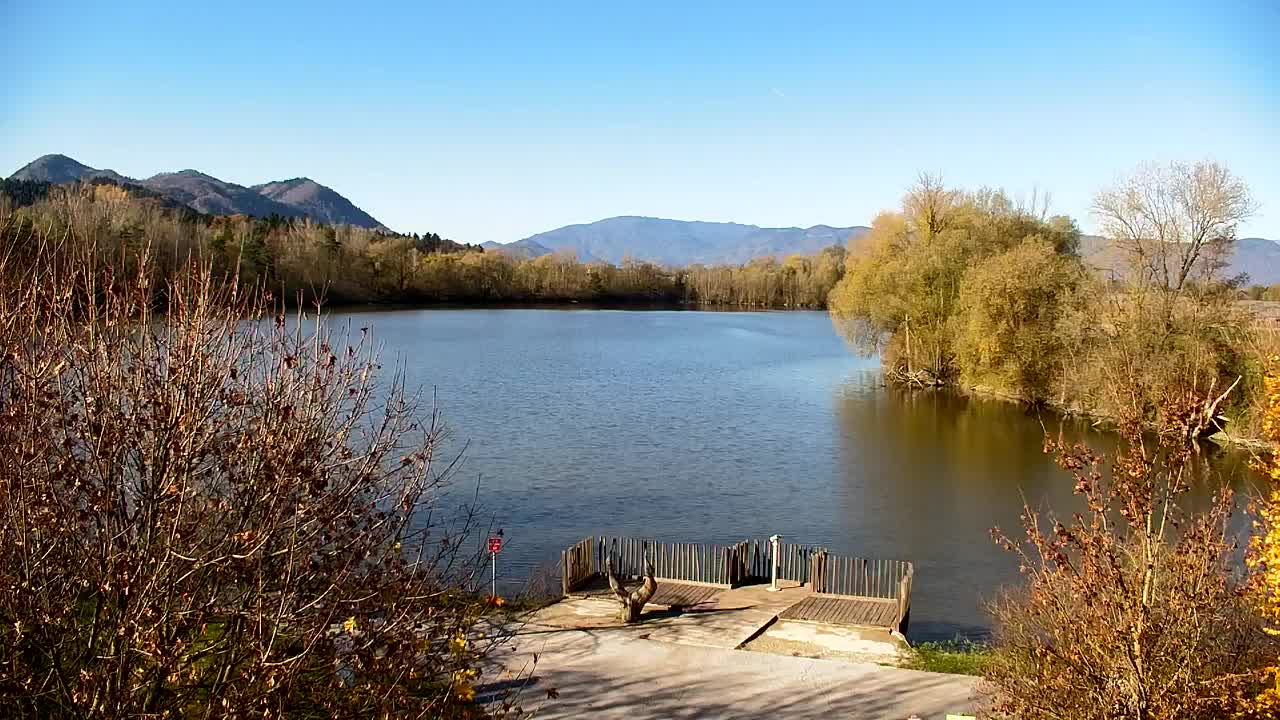 Webcam Ribnik Vrbje – Žalec