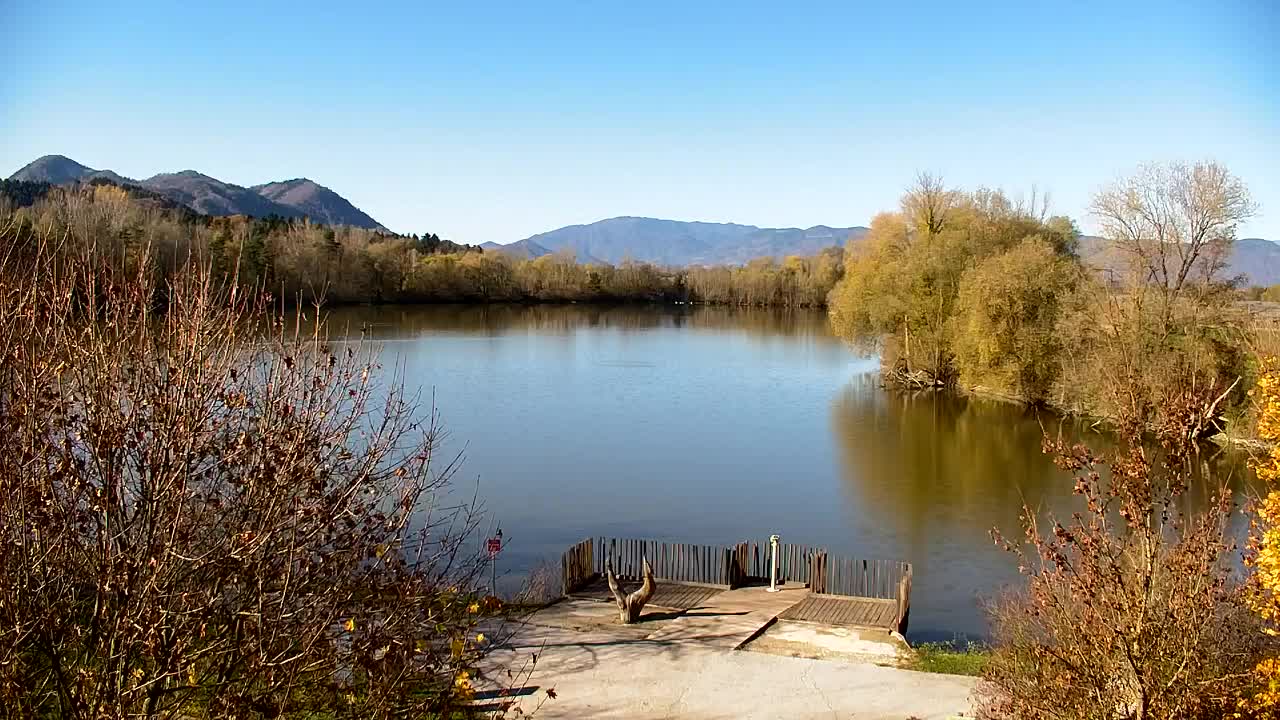 Webcam Ribnik Vrbje – Žalec