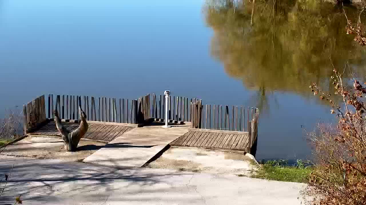 Webcam Ribnik Vrbje – Žalec