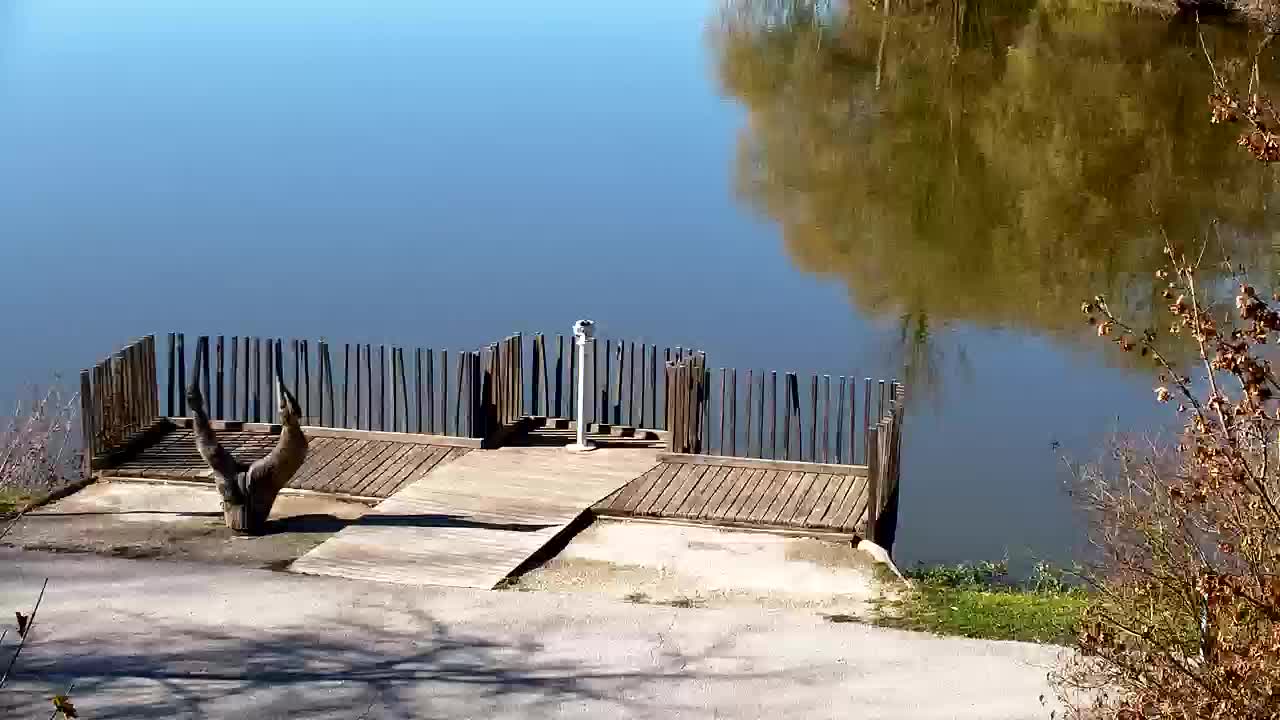 Webcam Ribnik Vrbje – Žalec