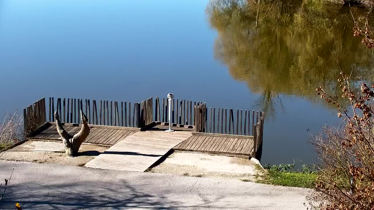 Webcam Ribnik Vrbje – Žalec