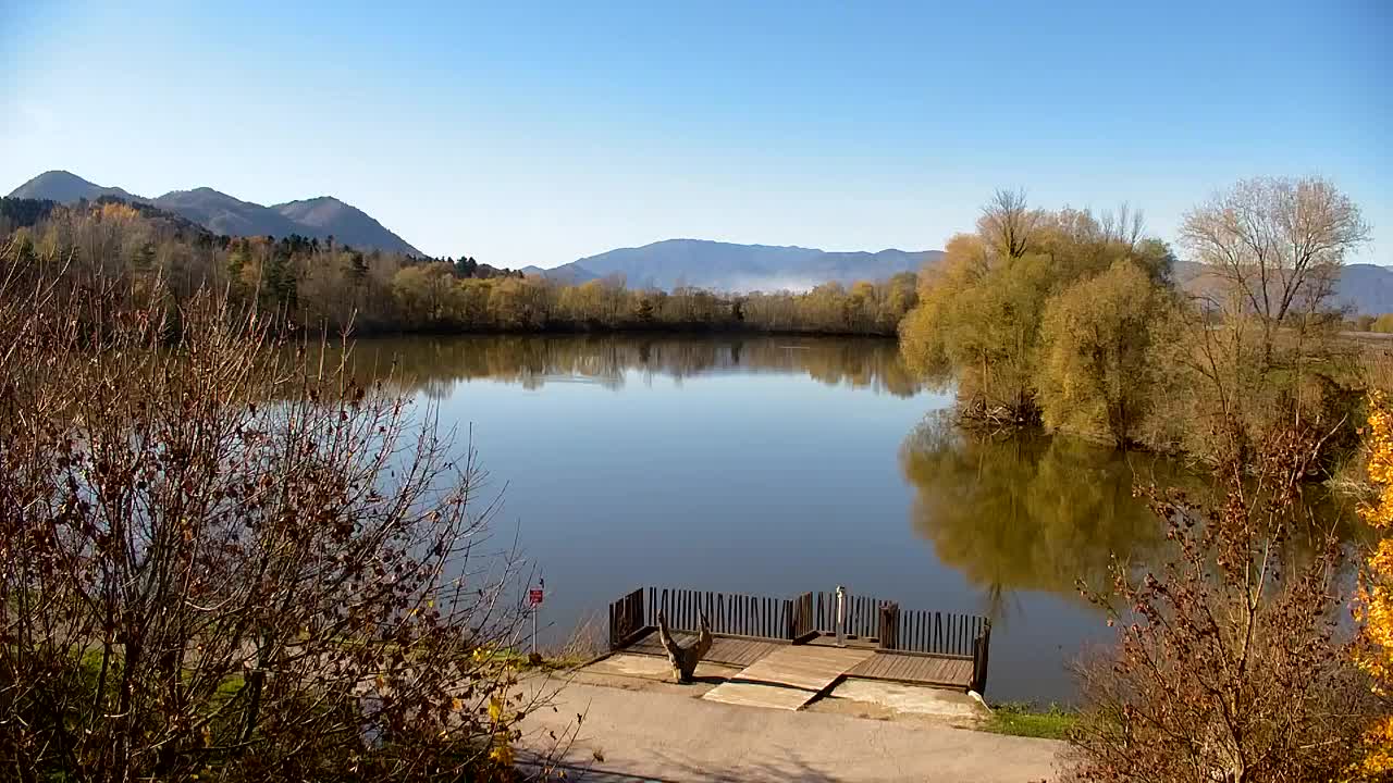 Webcam Ribnik Vrbje – Žalec