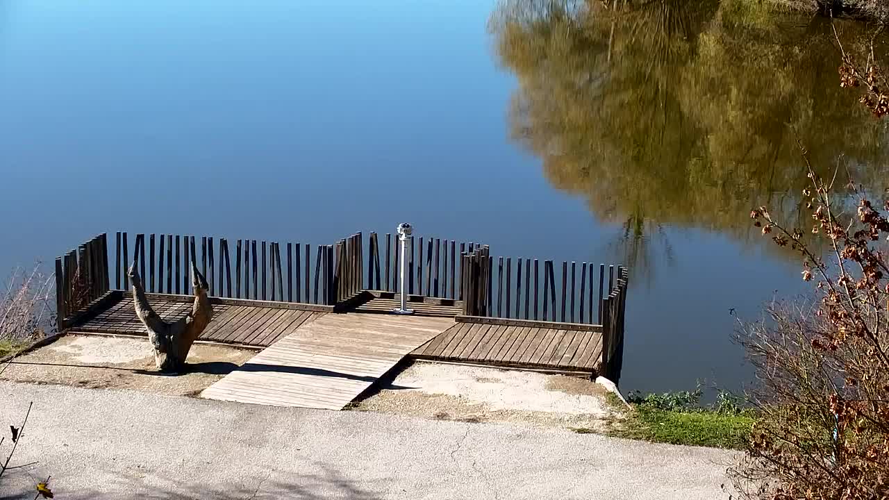 Webcam Ribnik Vrbje – Žalec