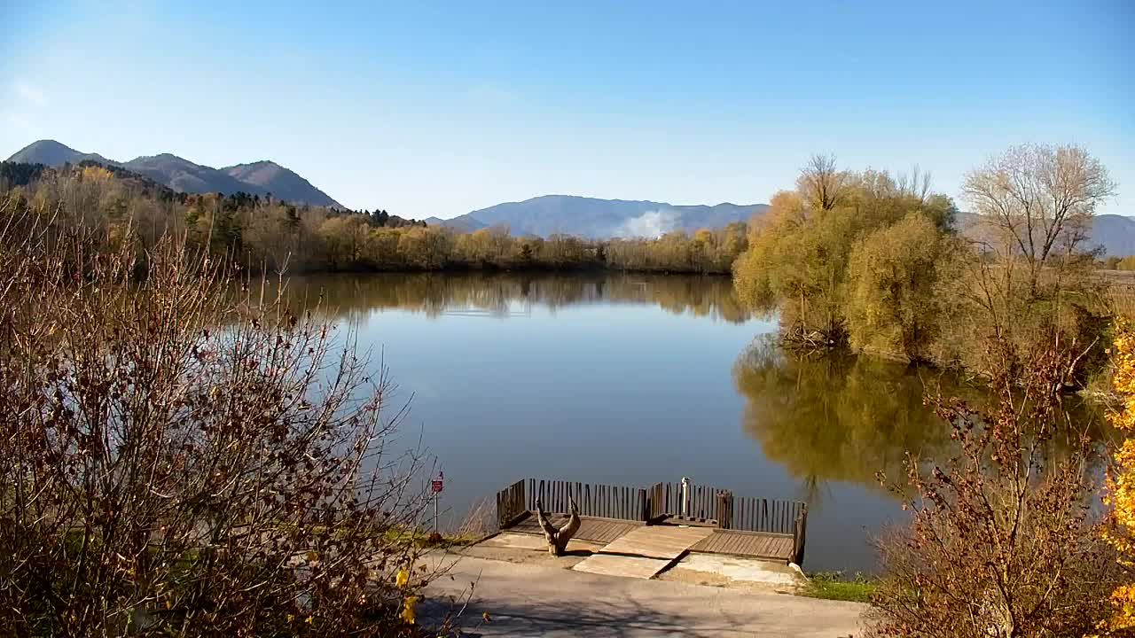 Webcam Ribnik Vrbje – Žalec