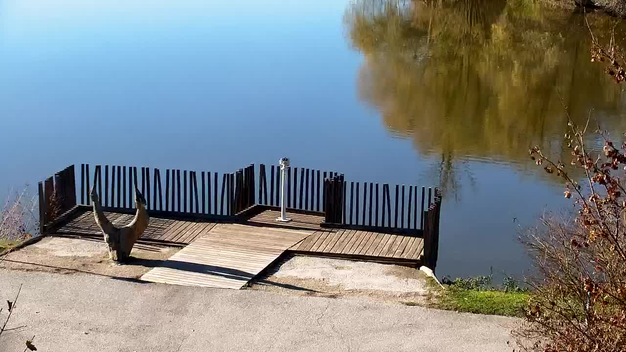 Webcam Ribnik Vrbje – Žalec