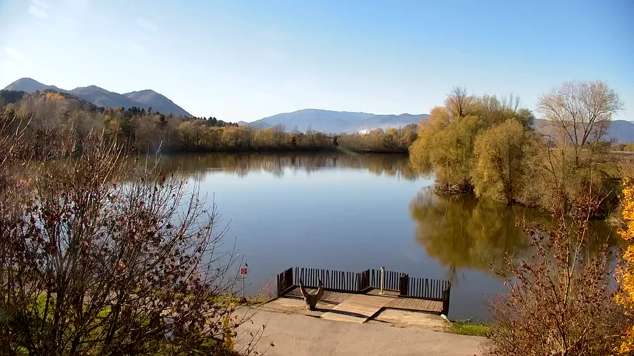 Spletna kamera Ribnik Vrbje – Žalec