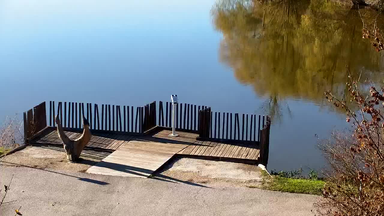 Webcam Ribnik Vrbje – Žalec