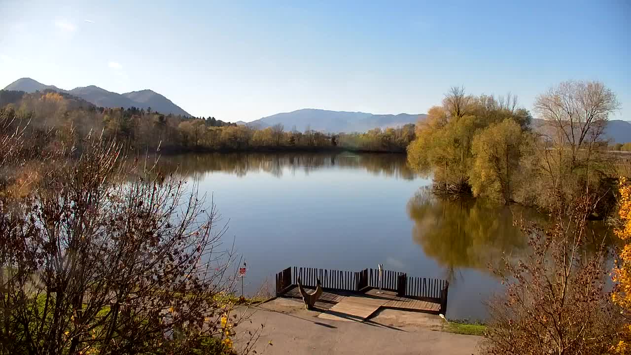 Web kamera Ribnik Vrbje – Žalec