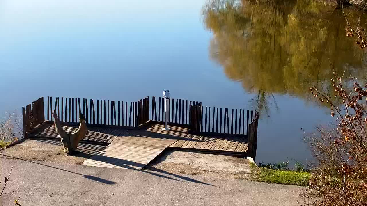 Spletna kamera Ribnik Vrbje – Žalec