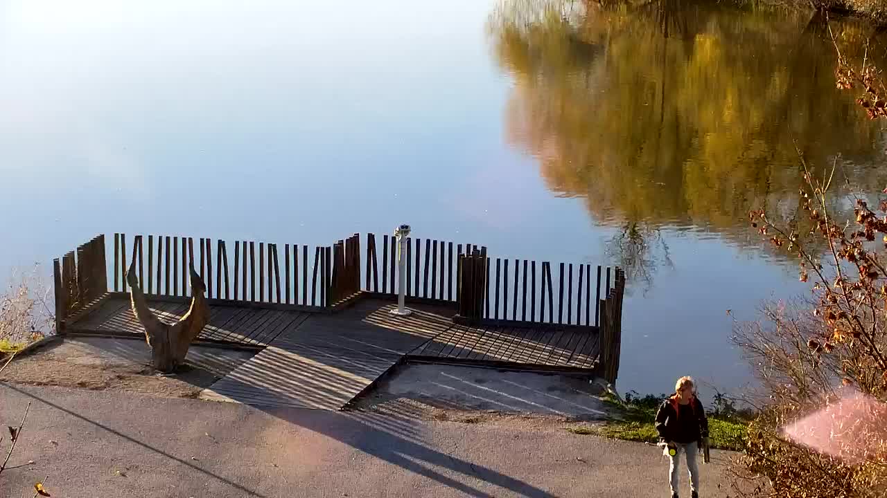 Webcam Ribnik Vrbje – Žalec