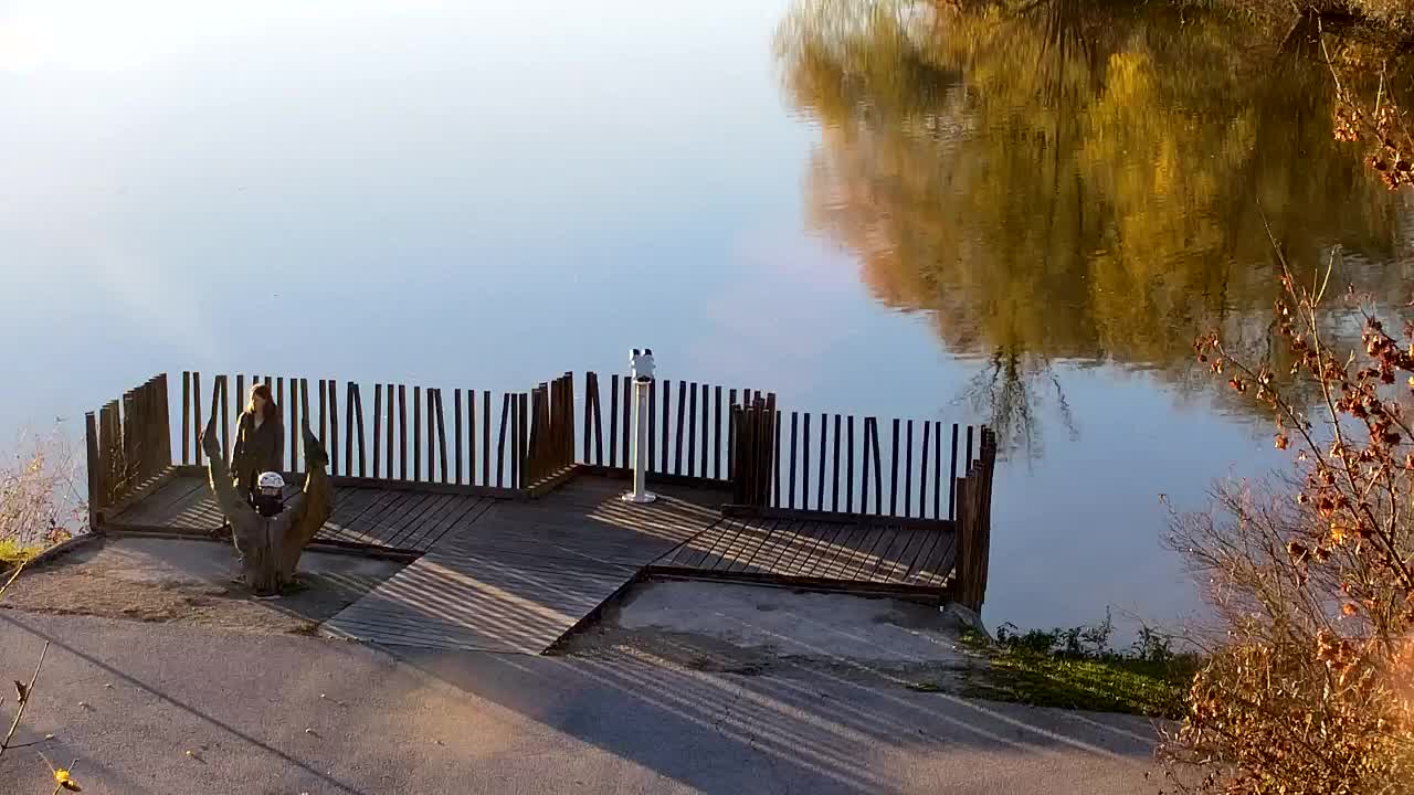 Webcam Ribnik Vrbje – Žalec