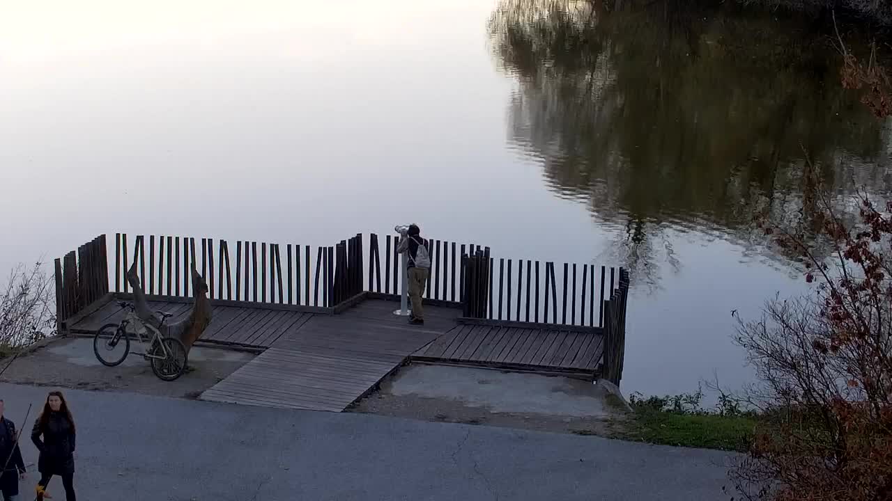 Web kamera Ribnik Vrbje – Žalec