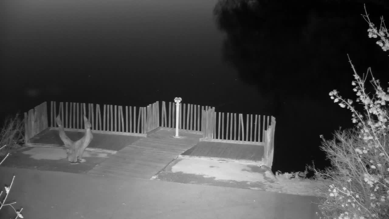 Webcam Ribnik Vrbje – Žalec