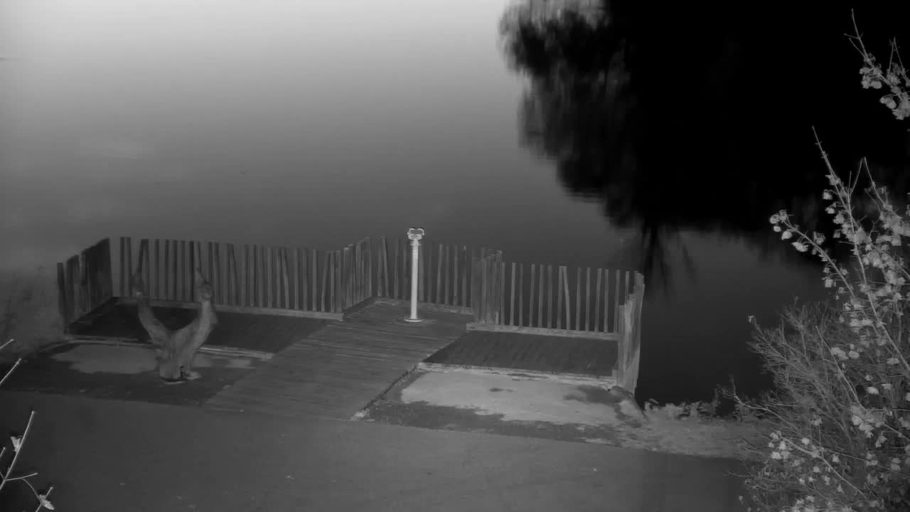 Spletna kamera Ribnik Vrbje – Žalec