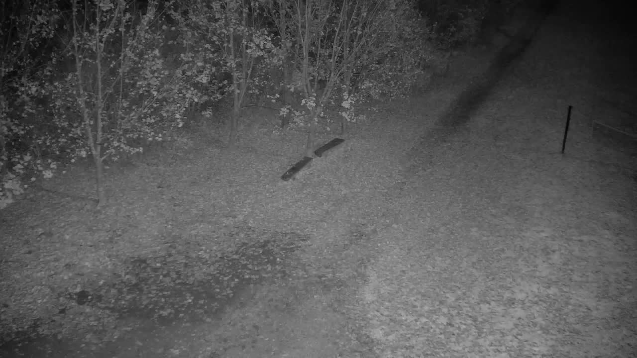 Webcam Ribnik Vrbje – Žalec