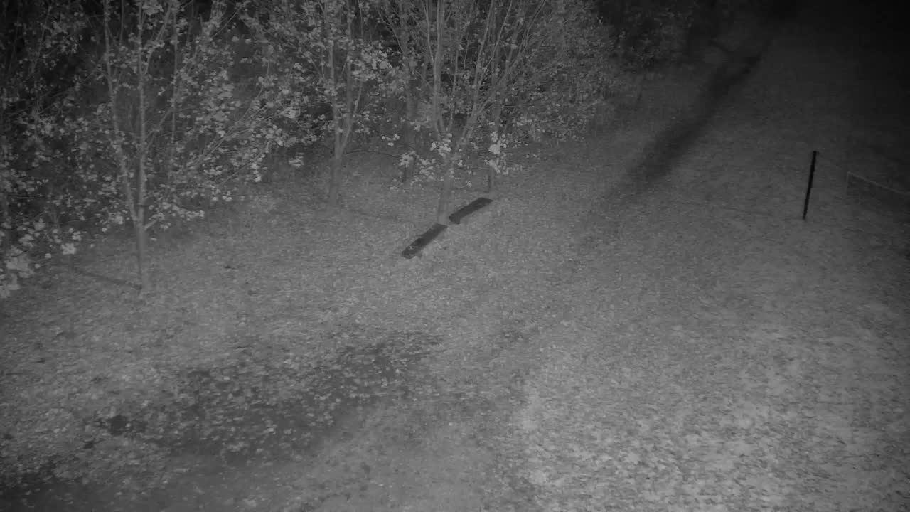 Webcam Ribnik Vrbje – Žalec