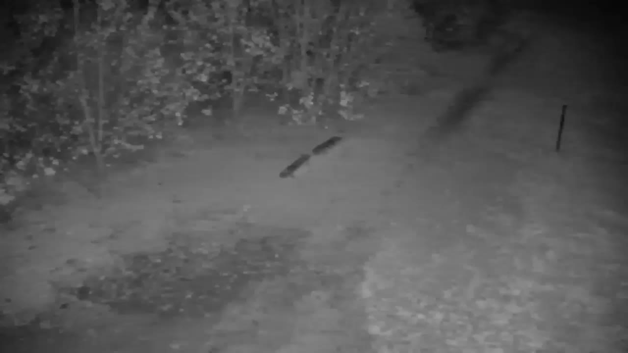 Webcam Ribnik Vrbje – Žalec