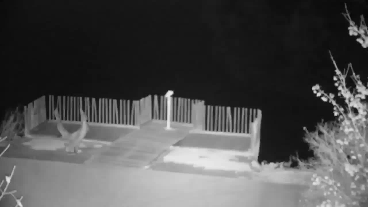 Spletna kamera Ribnik Vrbje – Žalec