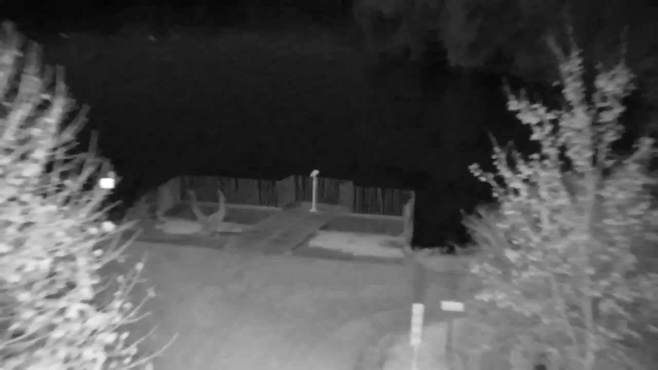 Webcam Ribnik Vrbje – Žalec