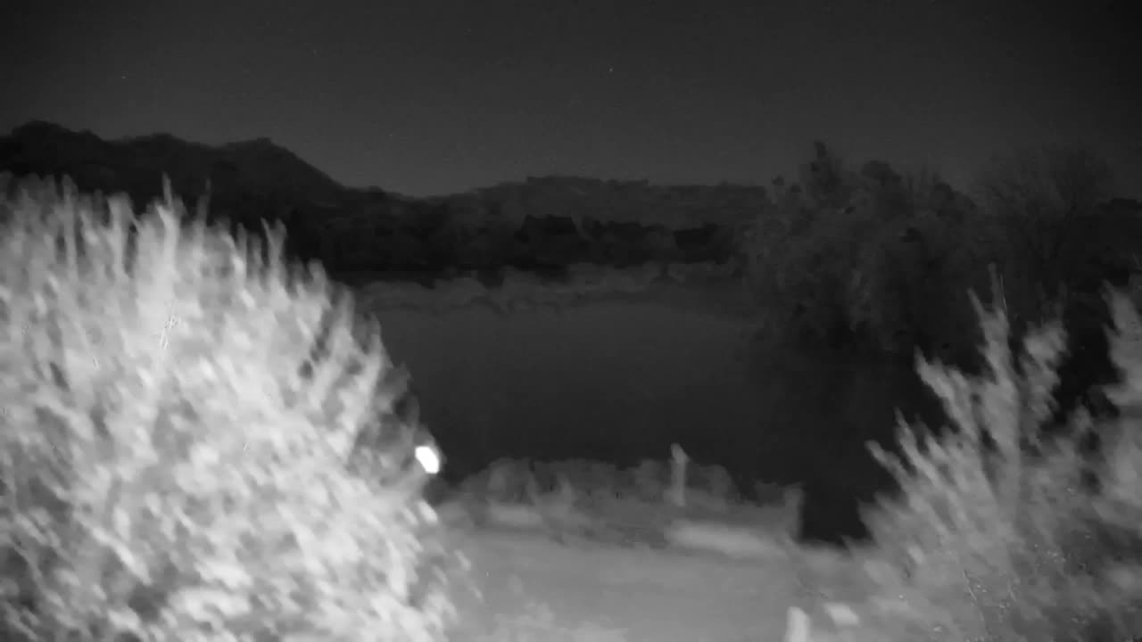 Webcam Ribnik Vrbje – Žalec