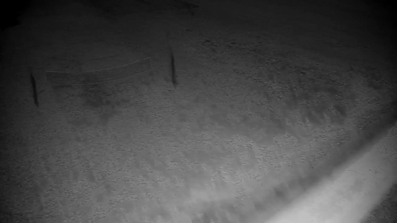 Web kamera Ribnik Vrbje – Žalec