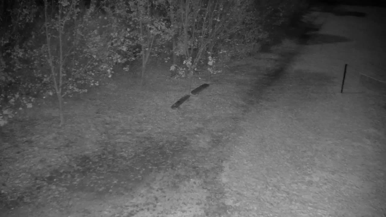 Spletna kamera Ribnik Vrbje – Žalec